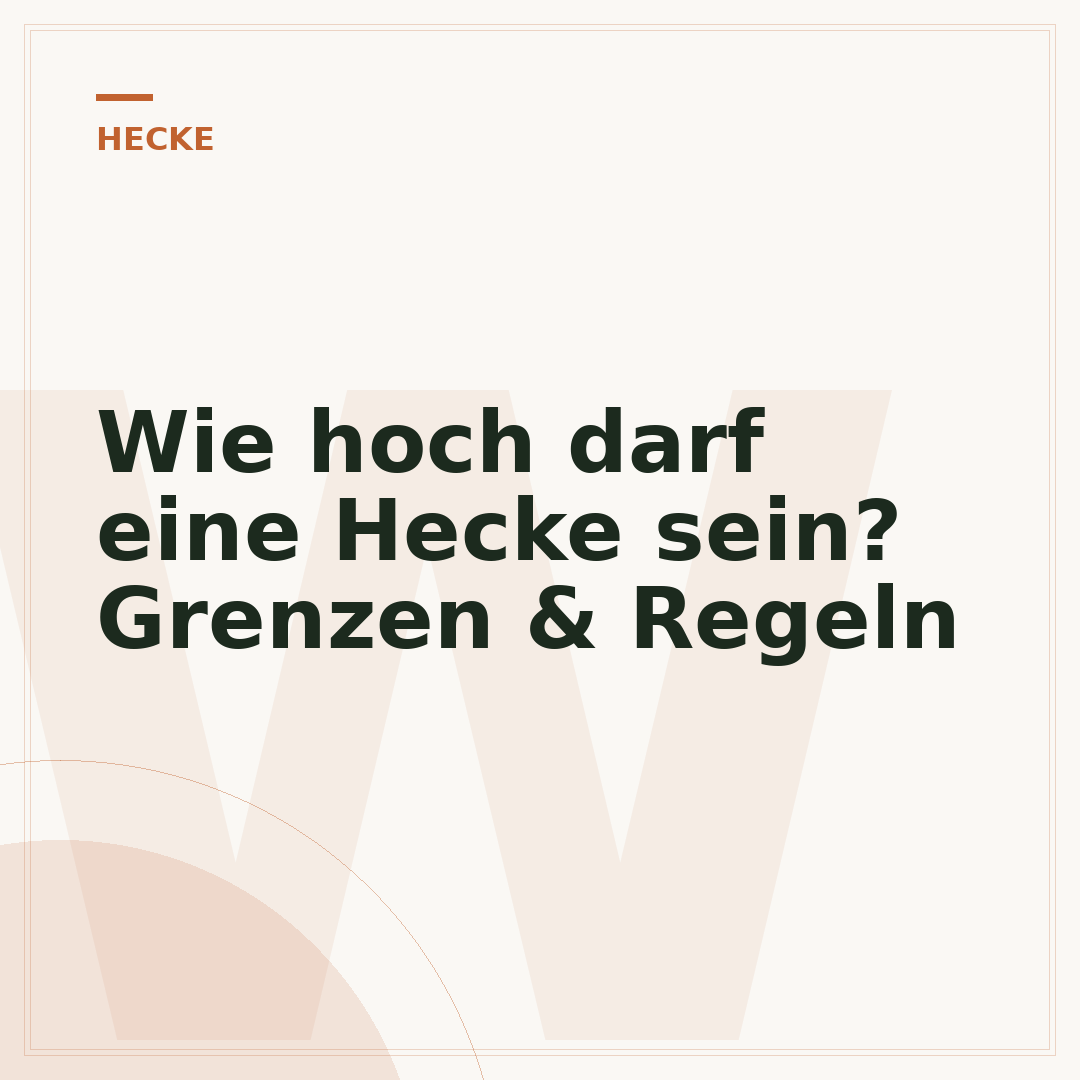 Wie hoch darf eine Hecke sein? Grenzen & Regeln