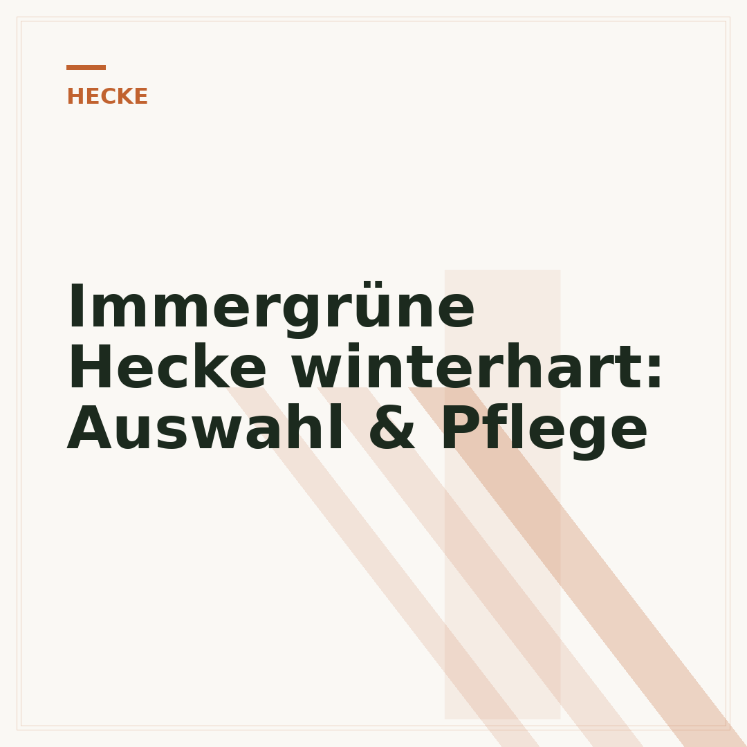 Immergrüne Hecke winterhart: Auswahl & Pflege