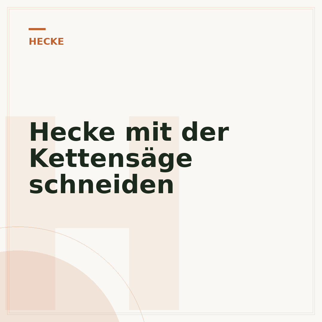 Hecke mit der Kettensäge schneiden
