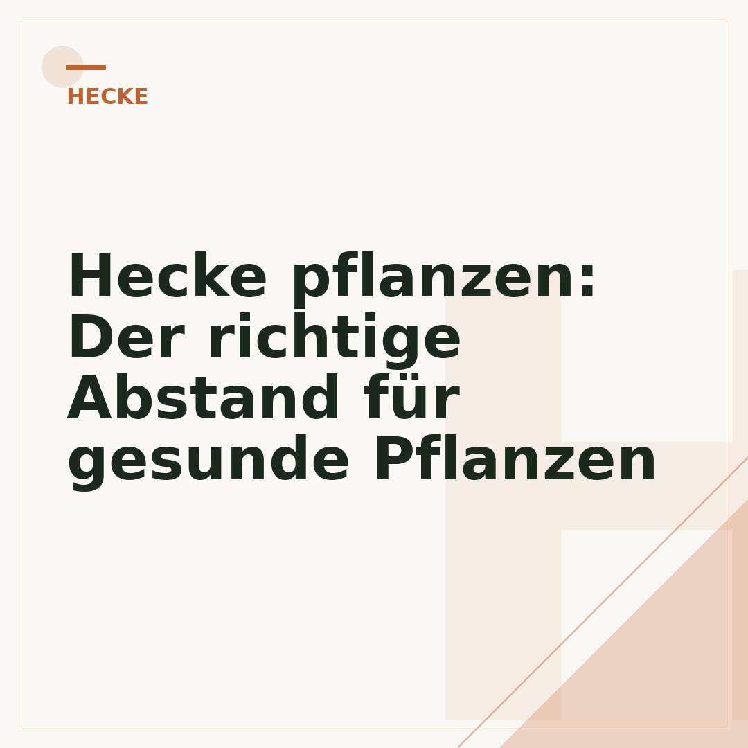 Hecke pflanzen: Der richtige Abstand für gesunde Pflanzen