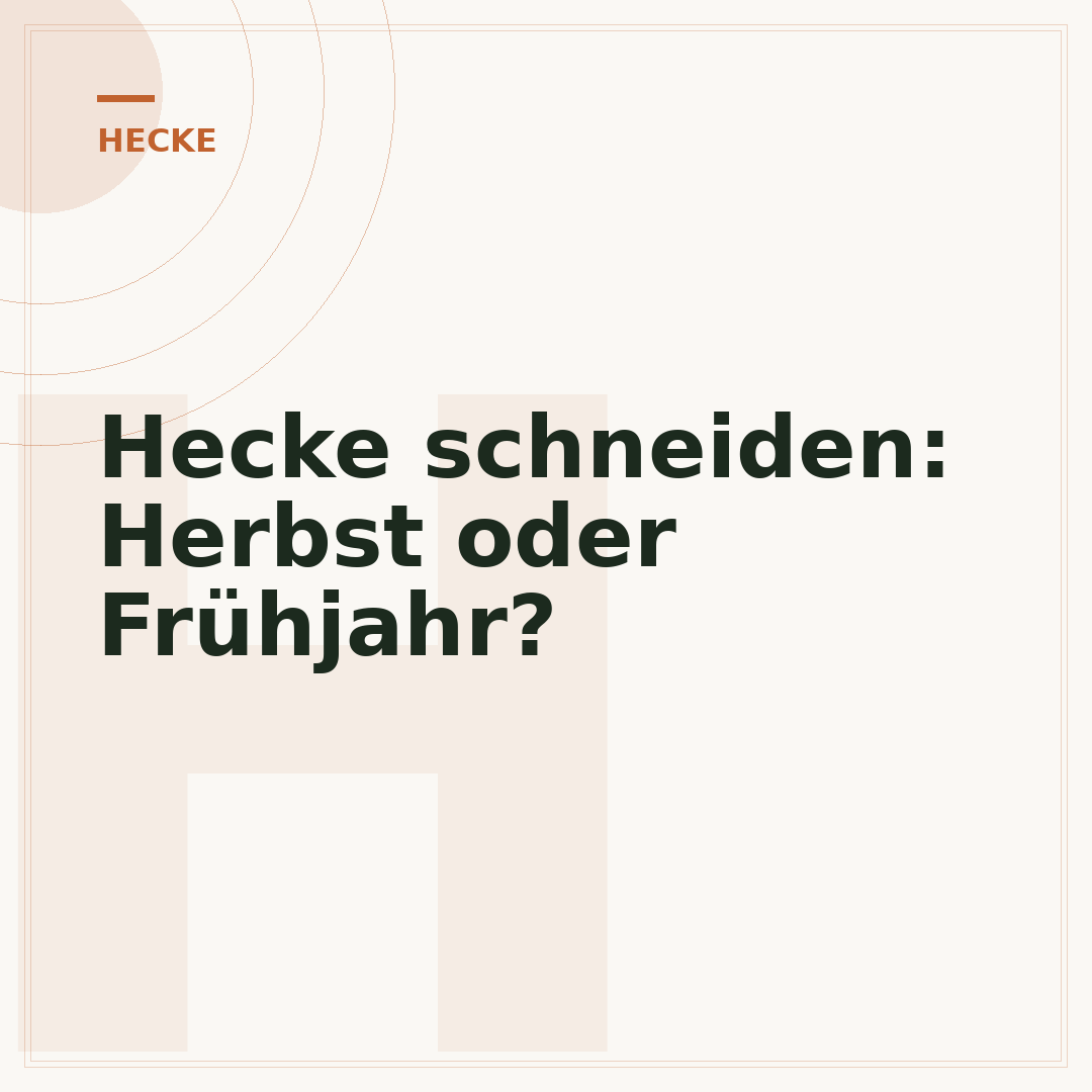 Hecke schneiden: Herbst oder Frühjahr?