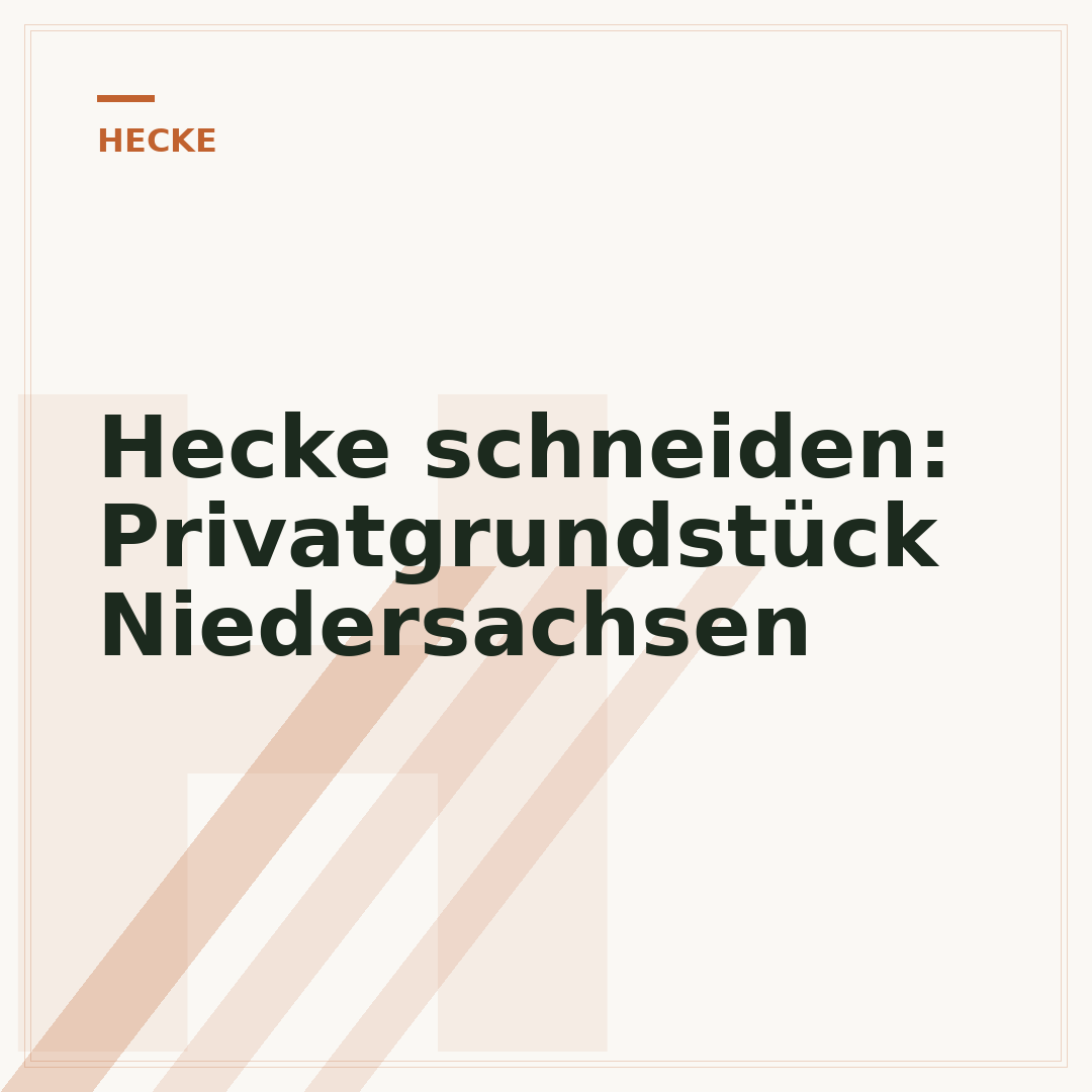 Hecke schneiden: Privatgrundstück Niedersachsen