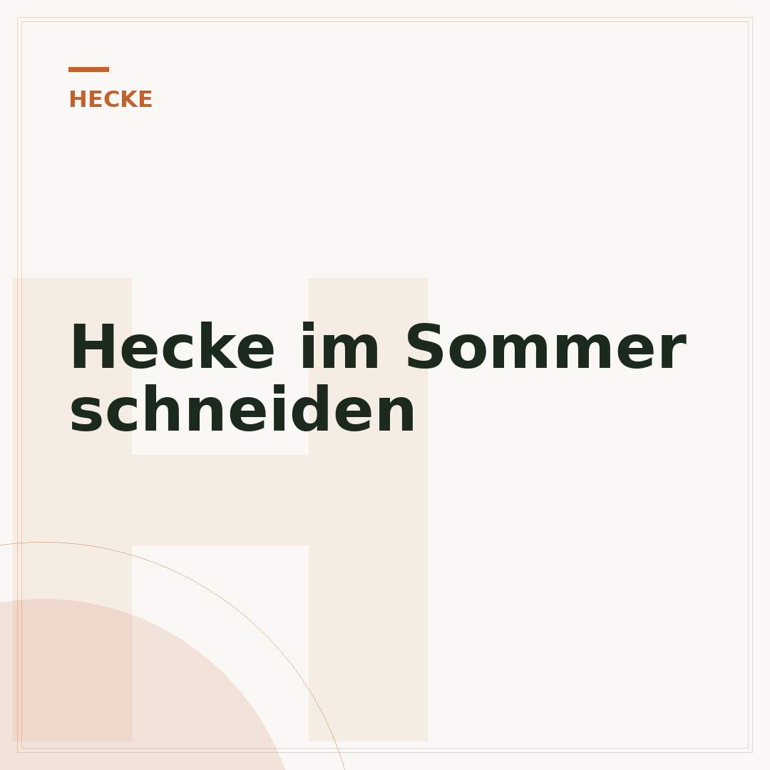 Hecke im Sommer schneiden