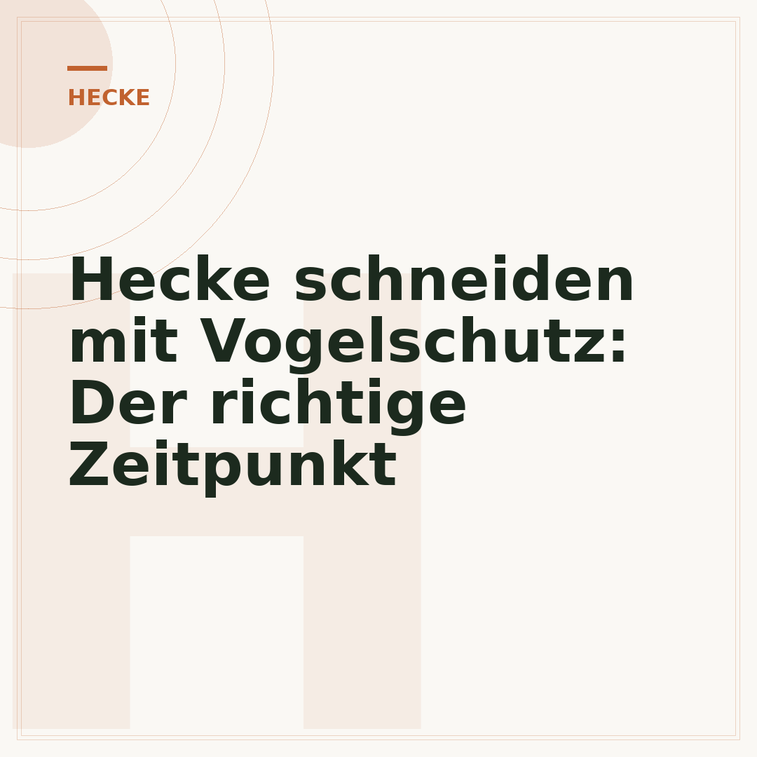 Hecke schneiden mit Vogelschutz: Der richtige Zeitpunkt