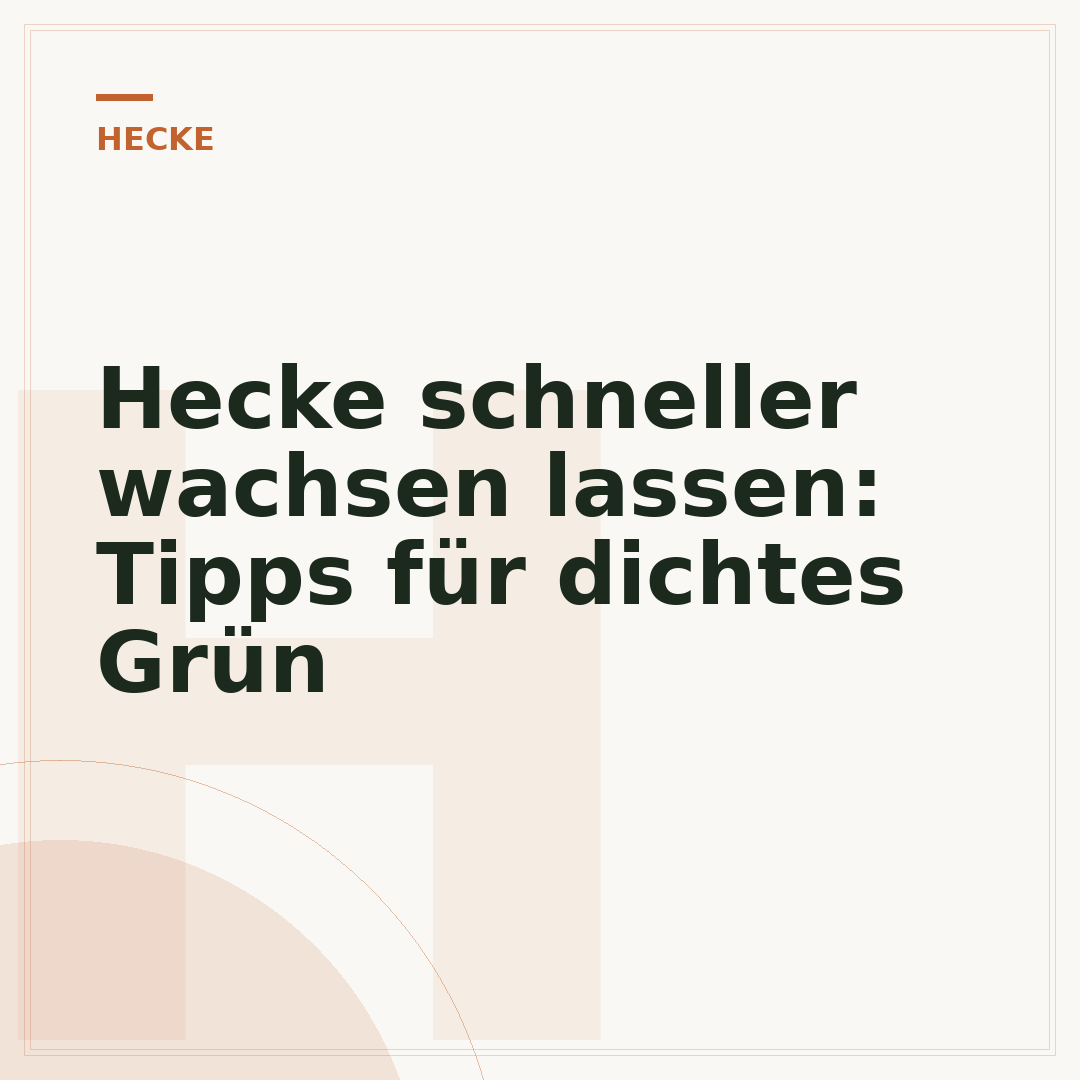 Hecke schneller wachsen lassen: Tipps für dichtes Grün