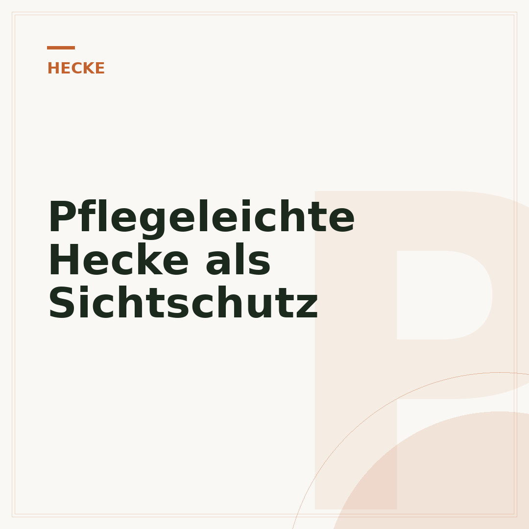 Pflegeleichte Hecke als Sichtschutz