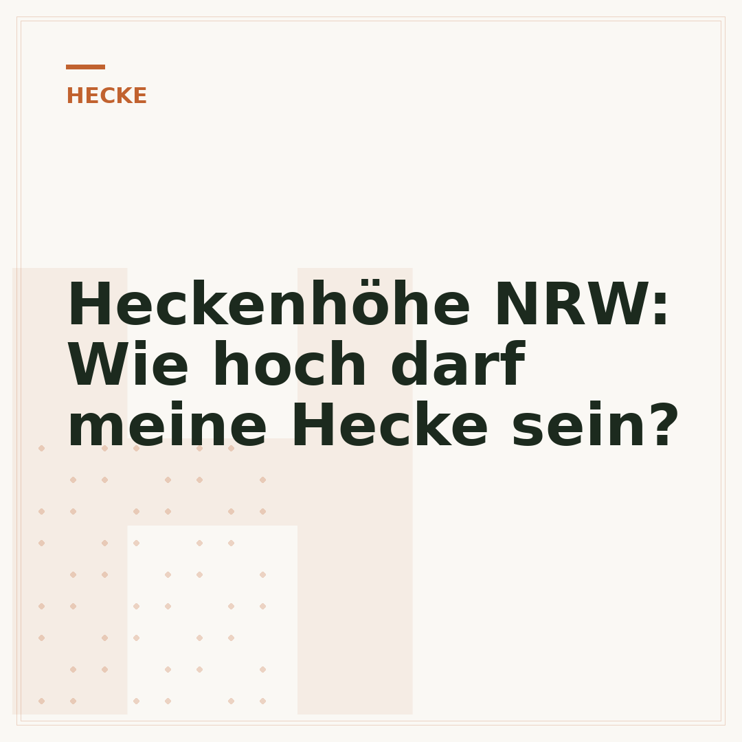 Heckenhöhe NRW: Wie hoch darf meine Hecke sein?