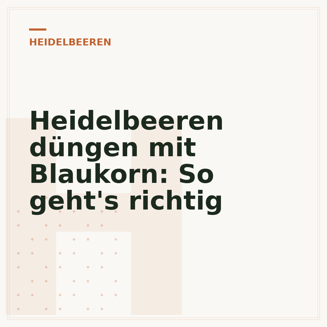 Heidelbeeren düngen mit Blaukorn: So geht's richtig