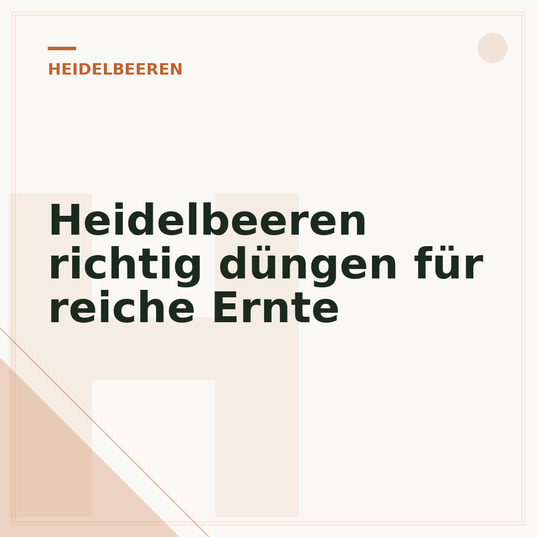 Heidelbeeren richtig düngen für reiche Ernte
