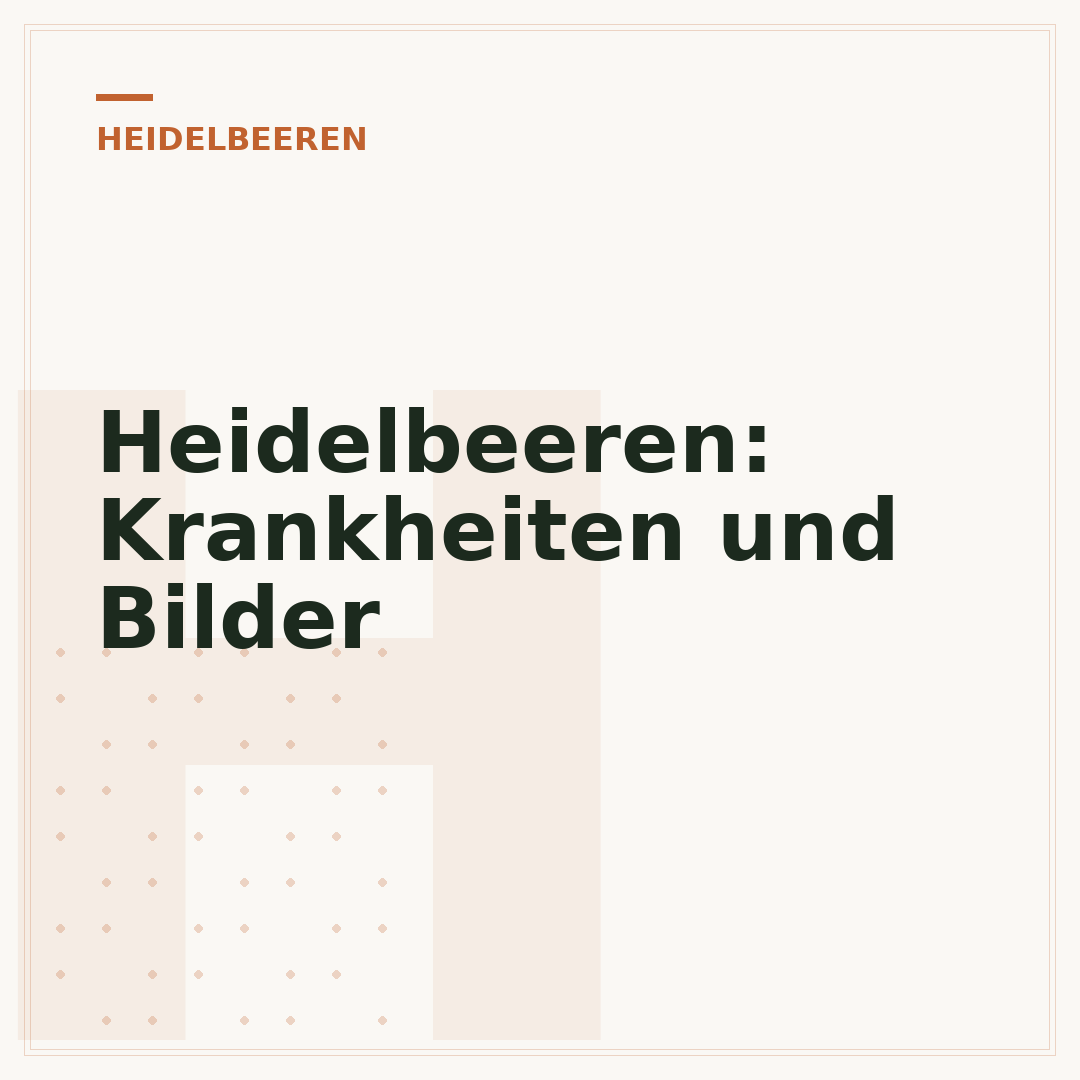 Heidelbeeren: Krankheiten und Bilder