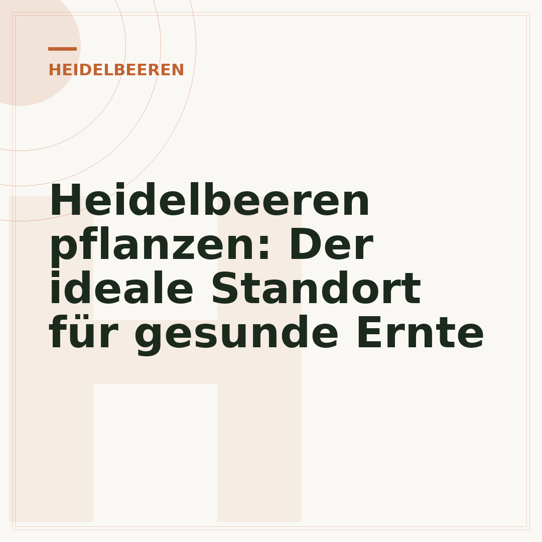 Heidelbeeren pflanzen: Der ideale Standort für gesunde Ernte