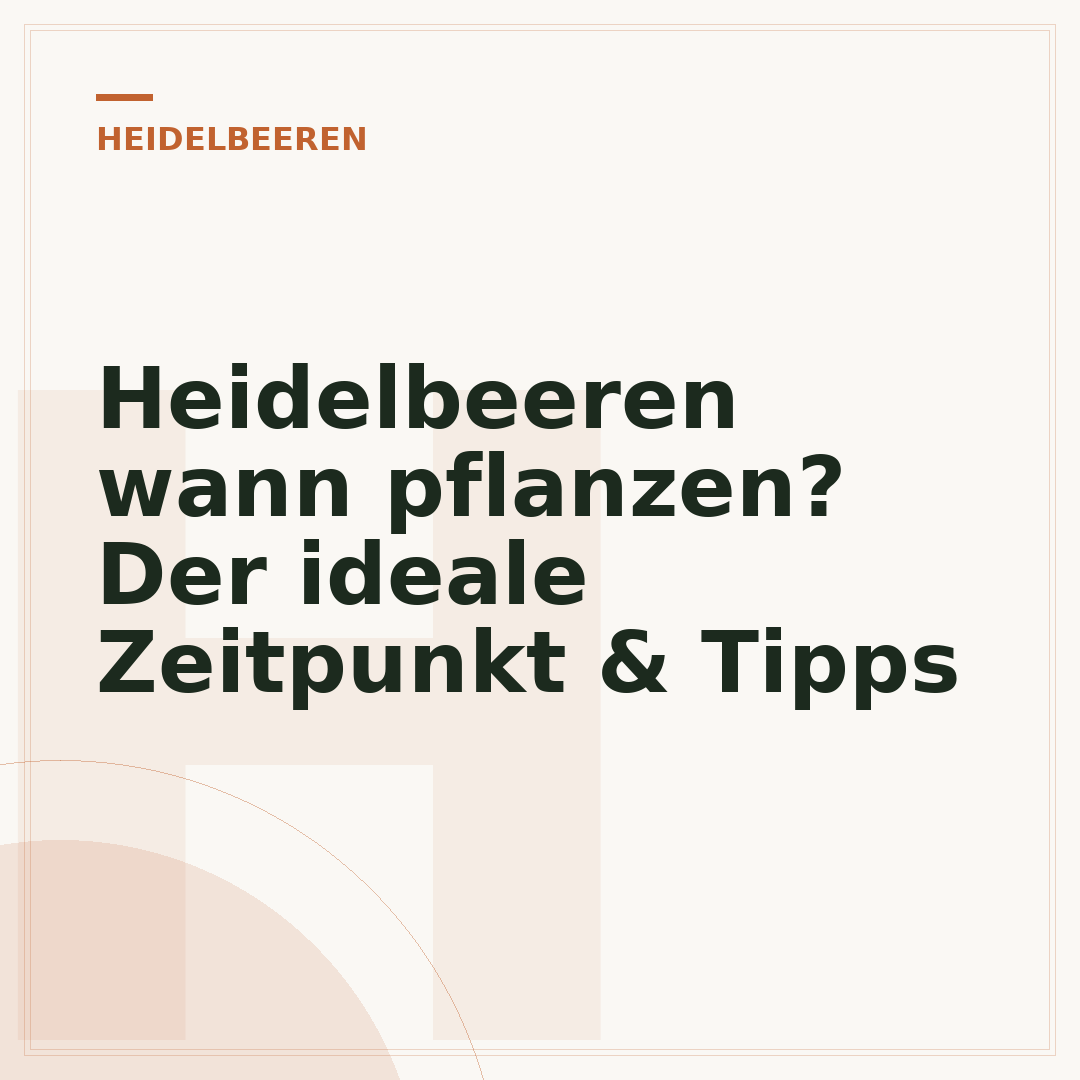 Heidelbeeren wann pflanzen? Der ideale Zeitpunkt & Tipps