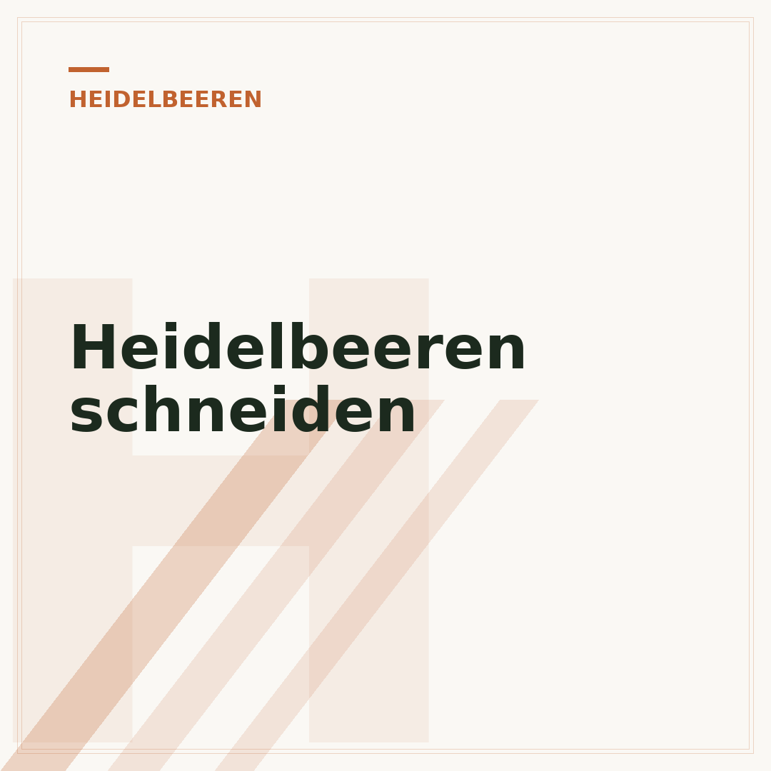 Heidelbeeren schneiden
