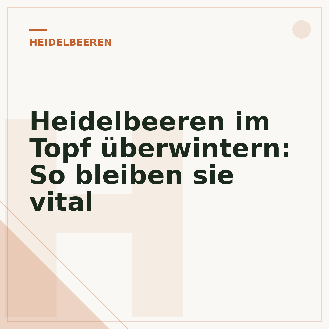 Heidelbeeren im Topf überwintern: So bleiben sie vital