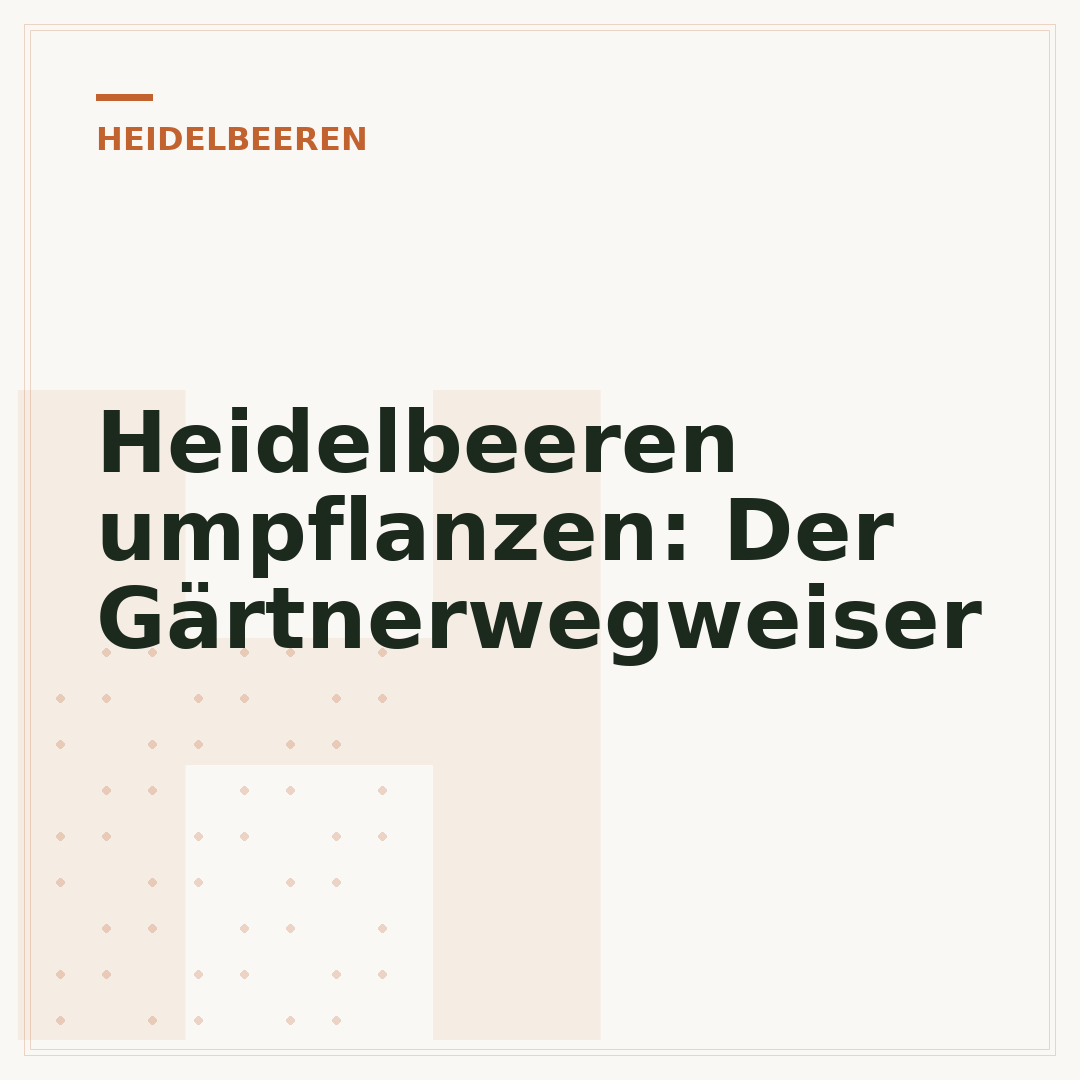 Heidelbeeren umpflanzen: Der Gärtnerwegweiser