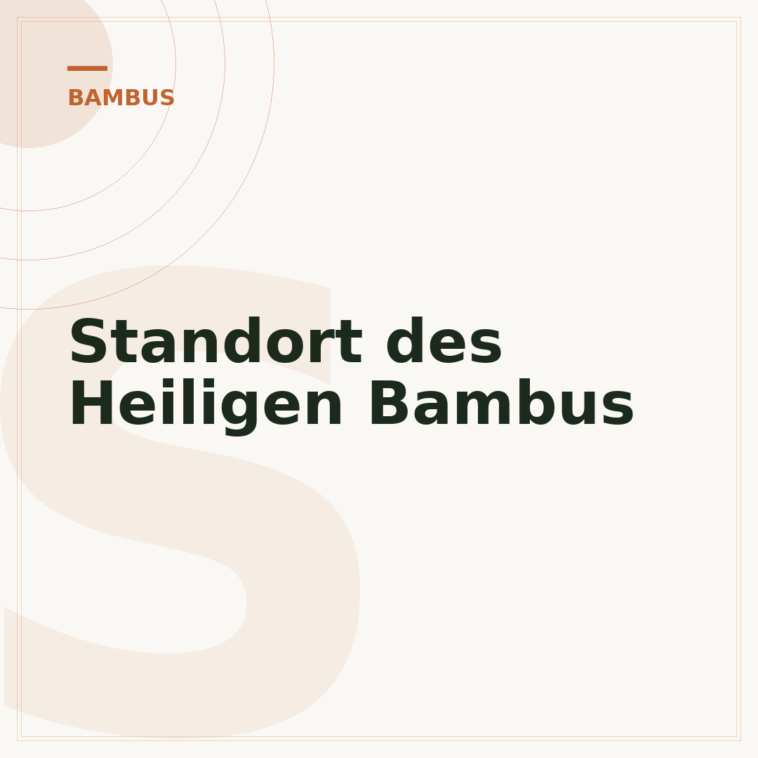 Standort des Heiligen Bambus