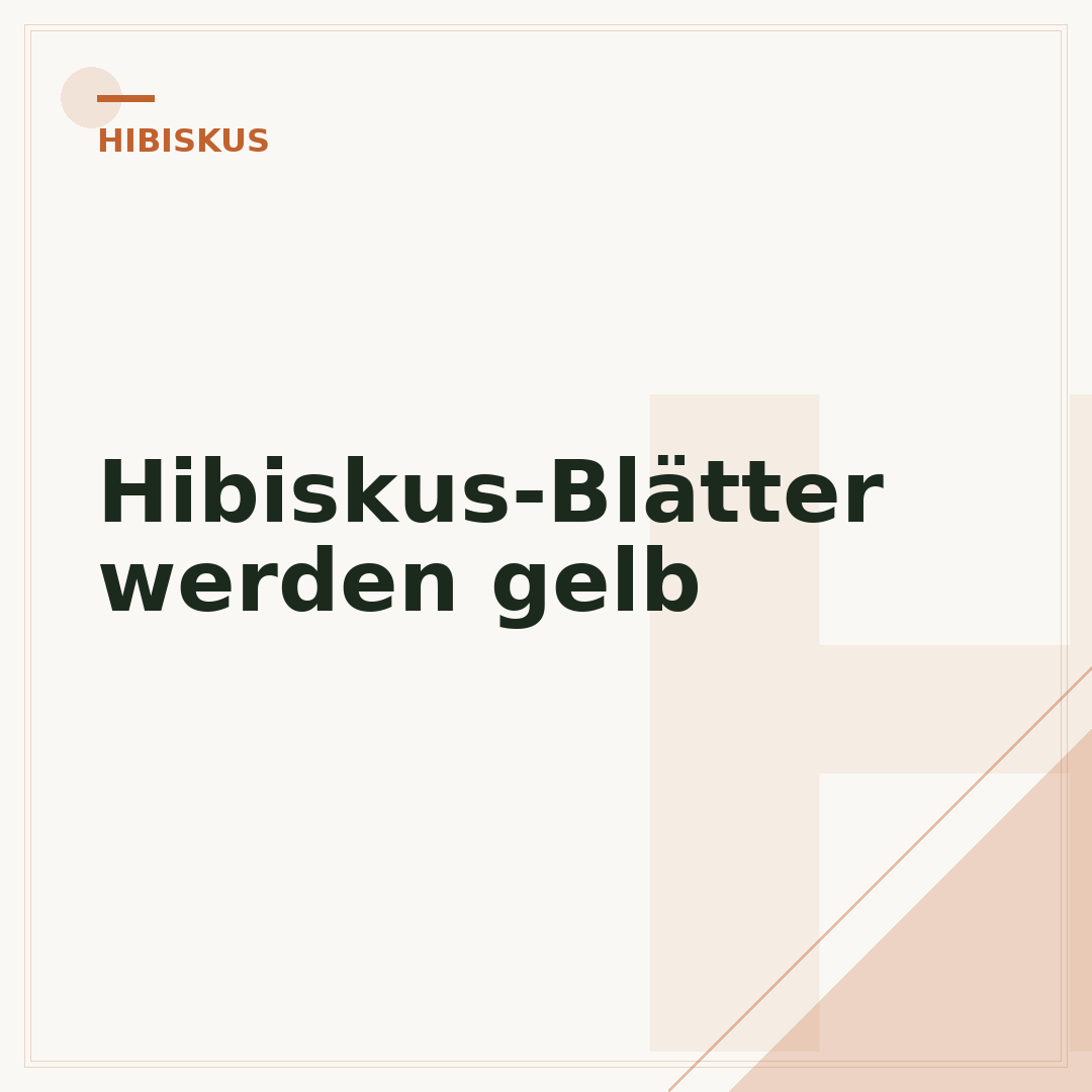 Hibiskus-Blätter werden gelb
