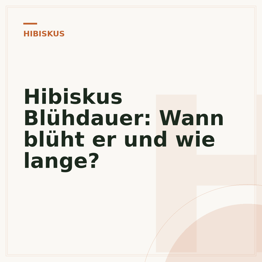 Hibiskus Blühdauer: Wann blüht er und wie lange?
