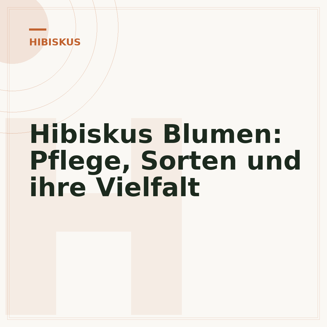 Hibiskus Blumen: Pflege, Sorten und ihre Vielfalt