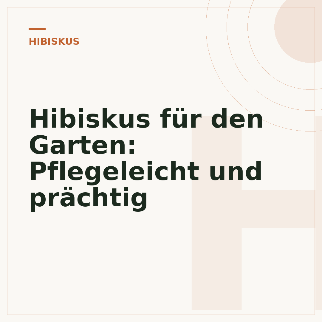 Hibiskus für den Garten: Pflegeleicht und prächtig