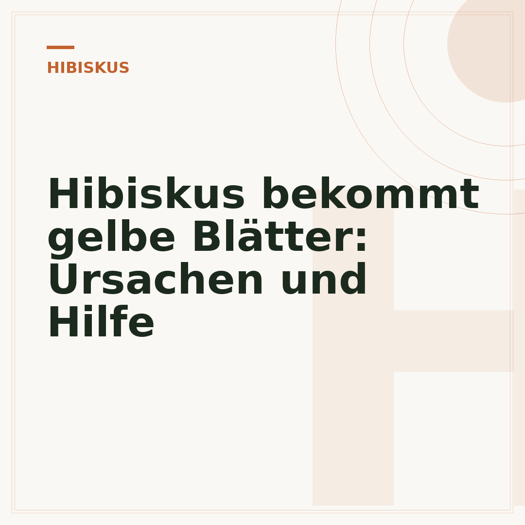 Hibiskus bekommt gelbe Blätter: Ursachen und Hilfe