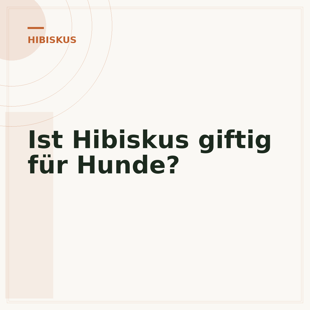Ist Hibiskus giftig für Hunde?