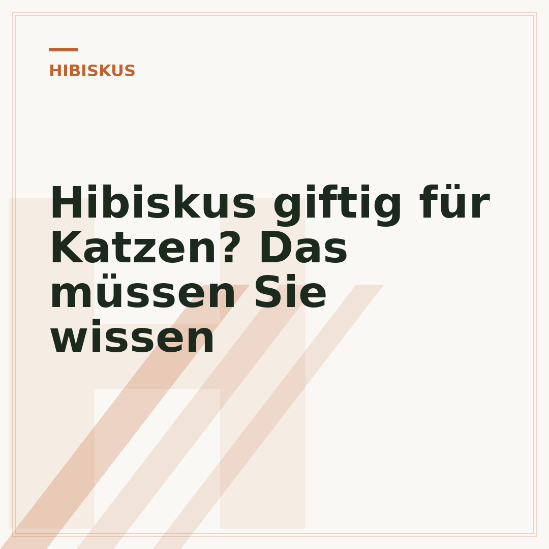 Hibiskus giftig für Katzen? Das müssen Sie wissen