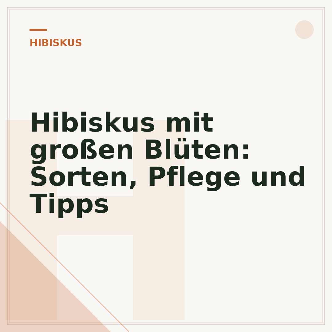 Hibiskus mit großen Blüten: Sorten, Pflege und Tipps