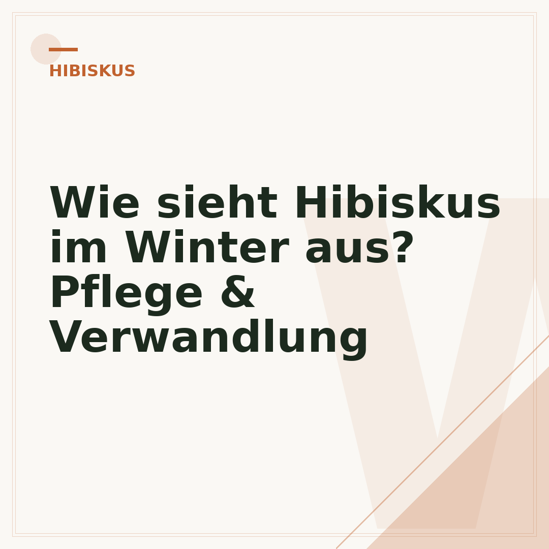 Wie sieht Hibiskus im Winter aus? Pflege & Verwandlung