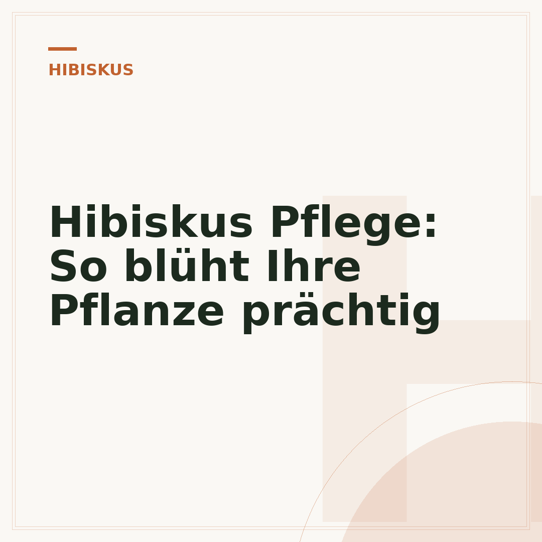 Hibiskus Pflege: So blüht Ihre Pflanze prächtig