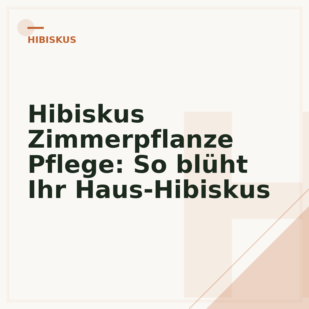 Hibiskus Zimmerpflanze Pflege: So blüht Ihr Haus-Hibiskus