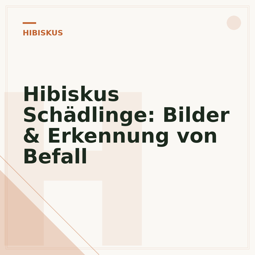 Hibiskus Schädlinge: Bilder & Erkennung von Befall