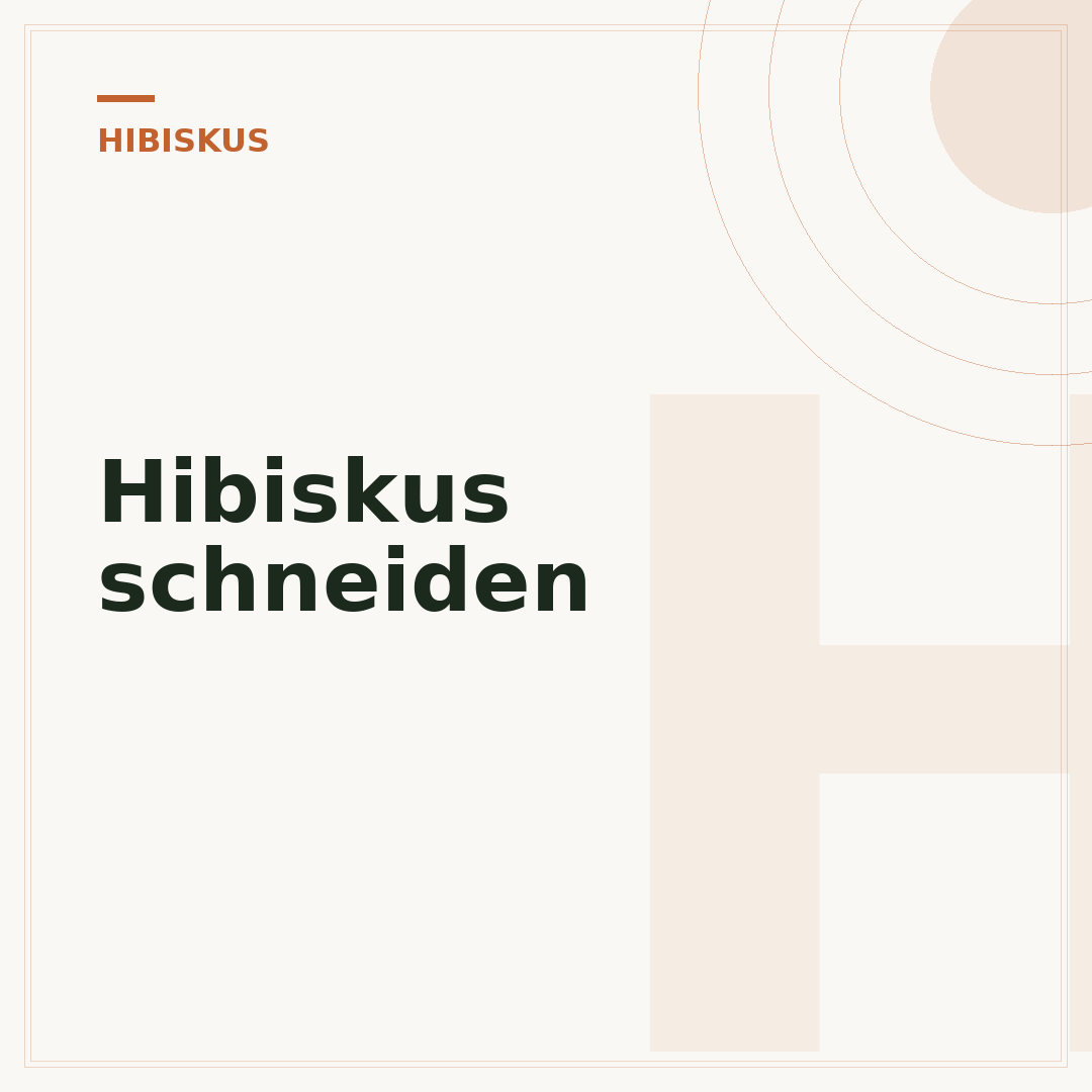 Hibiskus schneiden