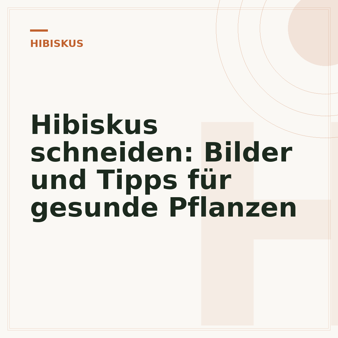 Hibiskus schneiden: Bilder und Tipps für gesunde Pflanzen