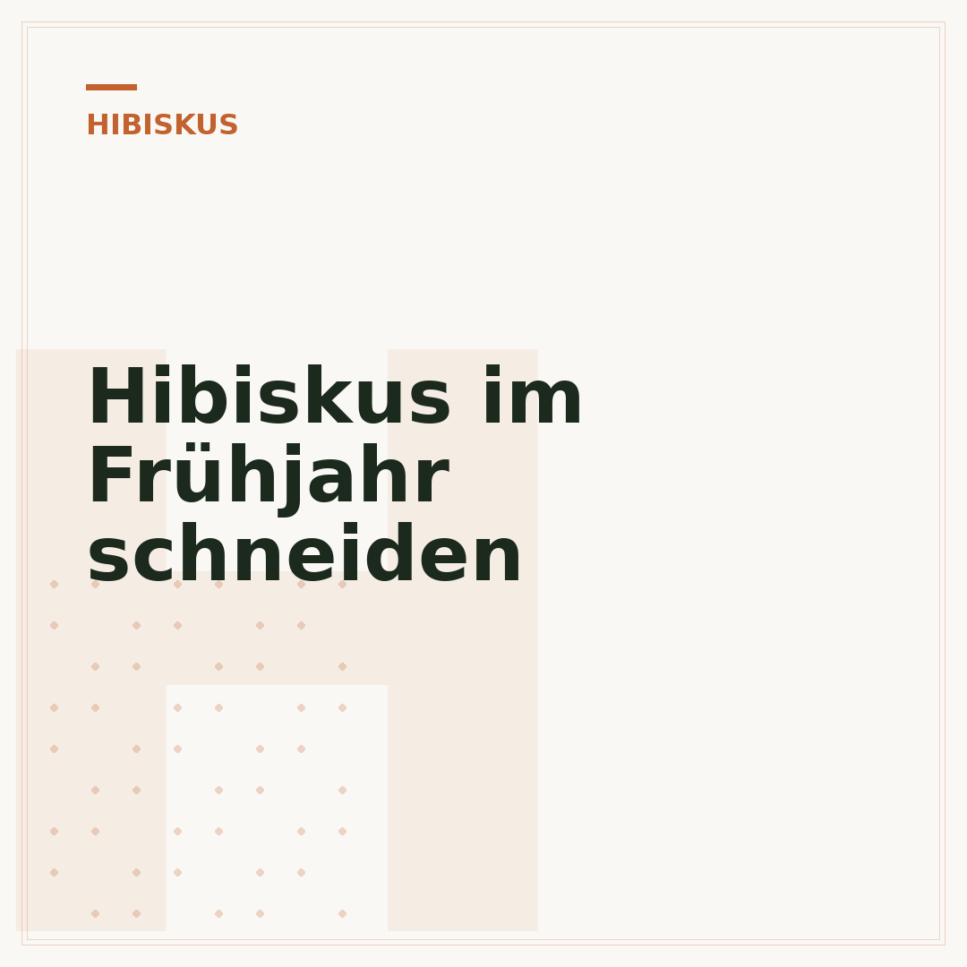 Hibiskus im Frühjahr schneiden