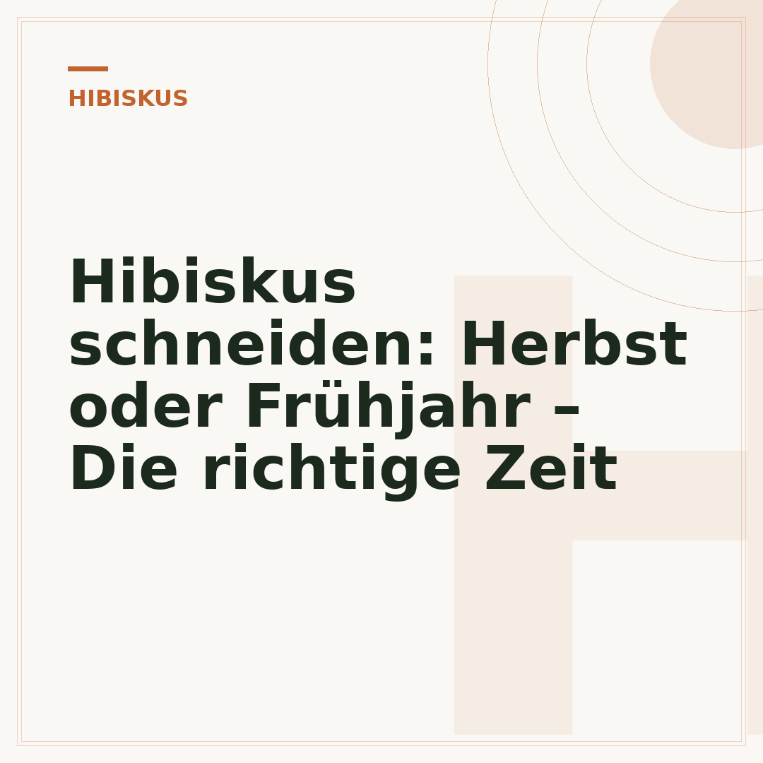 Hibiskus schneiden: Herbst oder Frühjahr – Die richtige Zeit