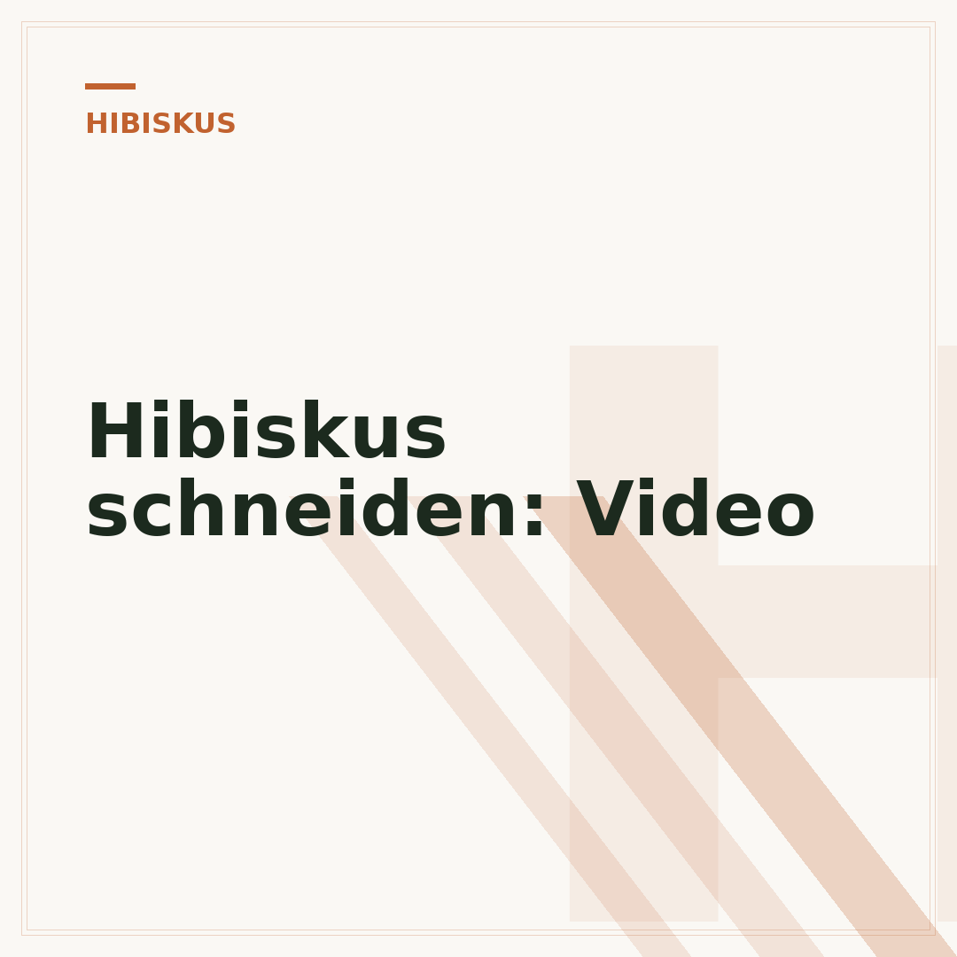 Hibiskus schneiden: Video
