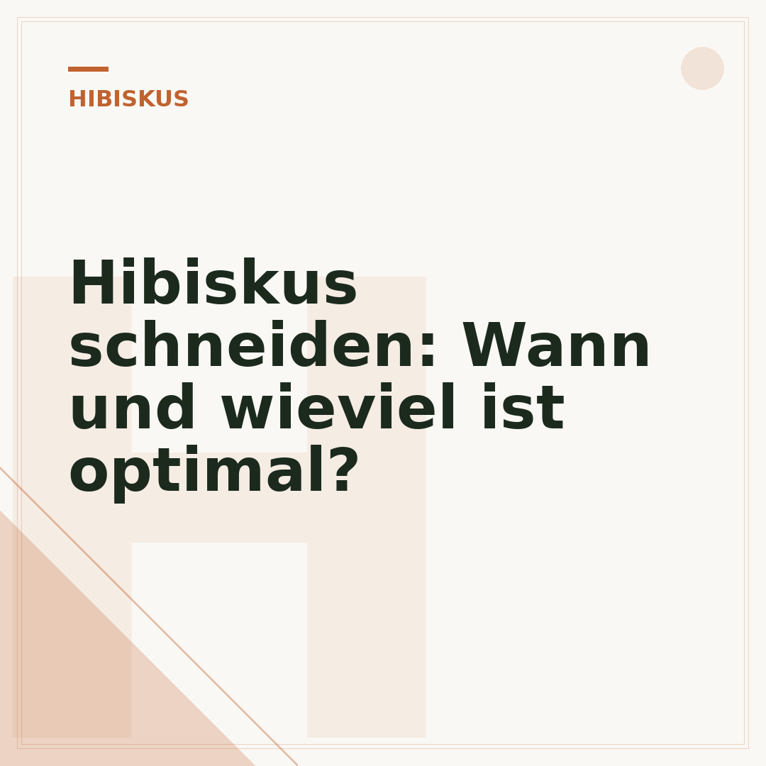 Hibiskus schneiden: Wann und wieviel ist optimal?