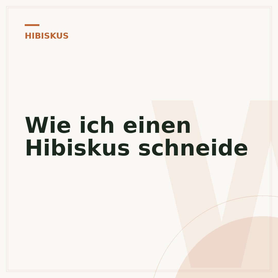 Wie ich einen Hibiskus schneide