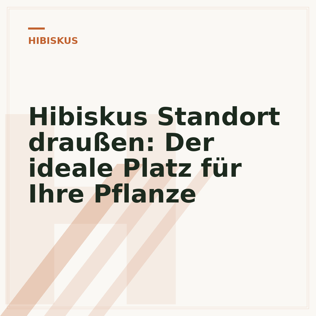 Hibiskus Standort draußen: Der ideale Platz für Ihre Pflanze