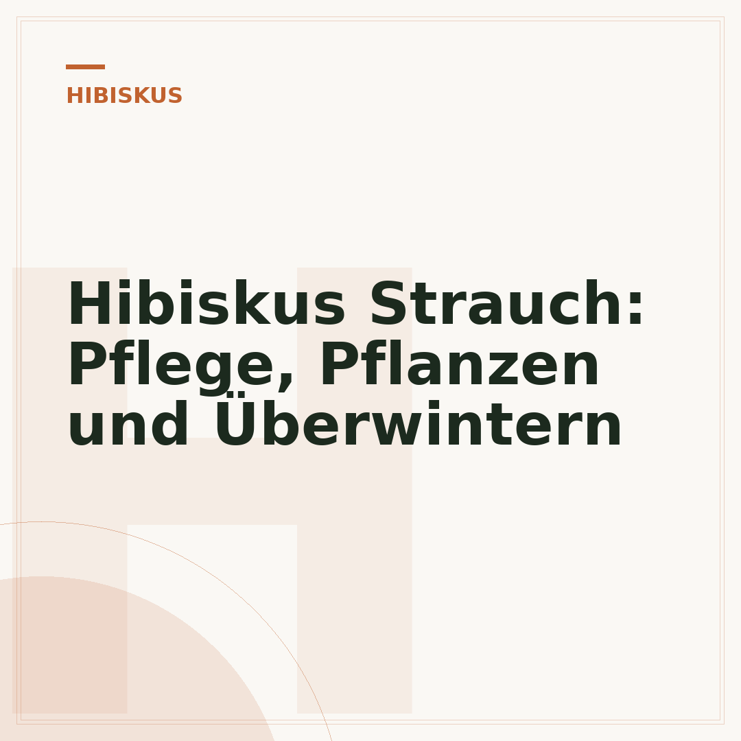 Hibiskus Strauch: Pflege, Pflanzen und Überwintern