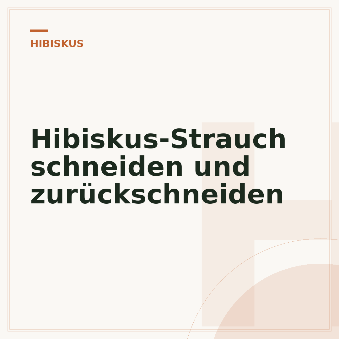 Hibiskus-Strauch schneiden und zurückschneiden