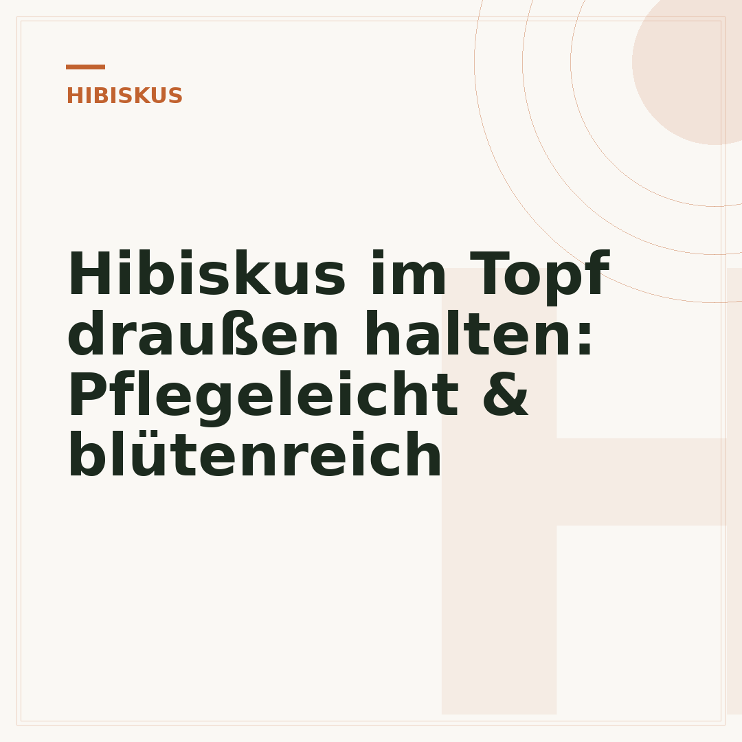 Hibiskus im Topf draußen halten: Pflegeleicht & blütenreich