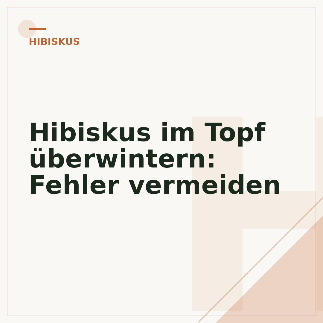 Hibiskus im Topf überwintern: Fehler vermeiden