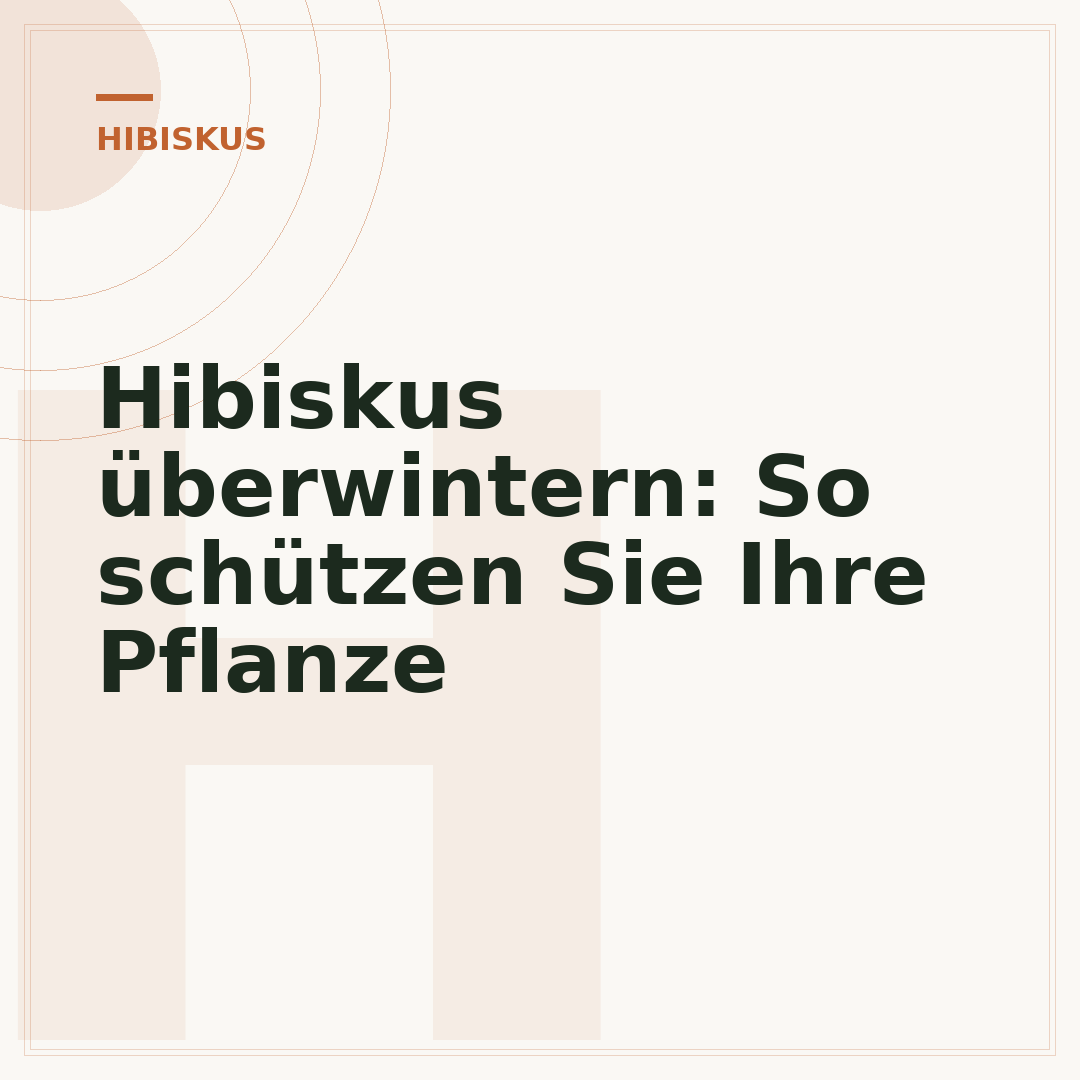 Hibiskus überwintern: So schützen Sie Ihre Pflanze