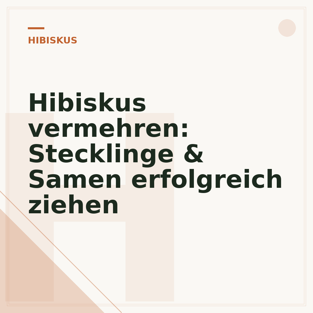 Hibiskus vermehren: Stecklinge & Samen erfolgreich ziehen