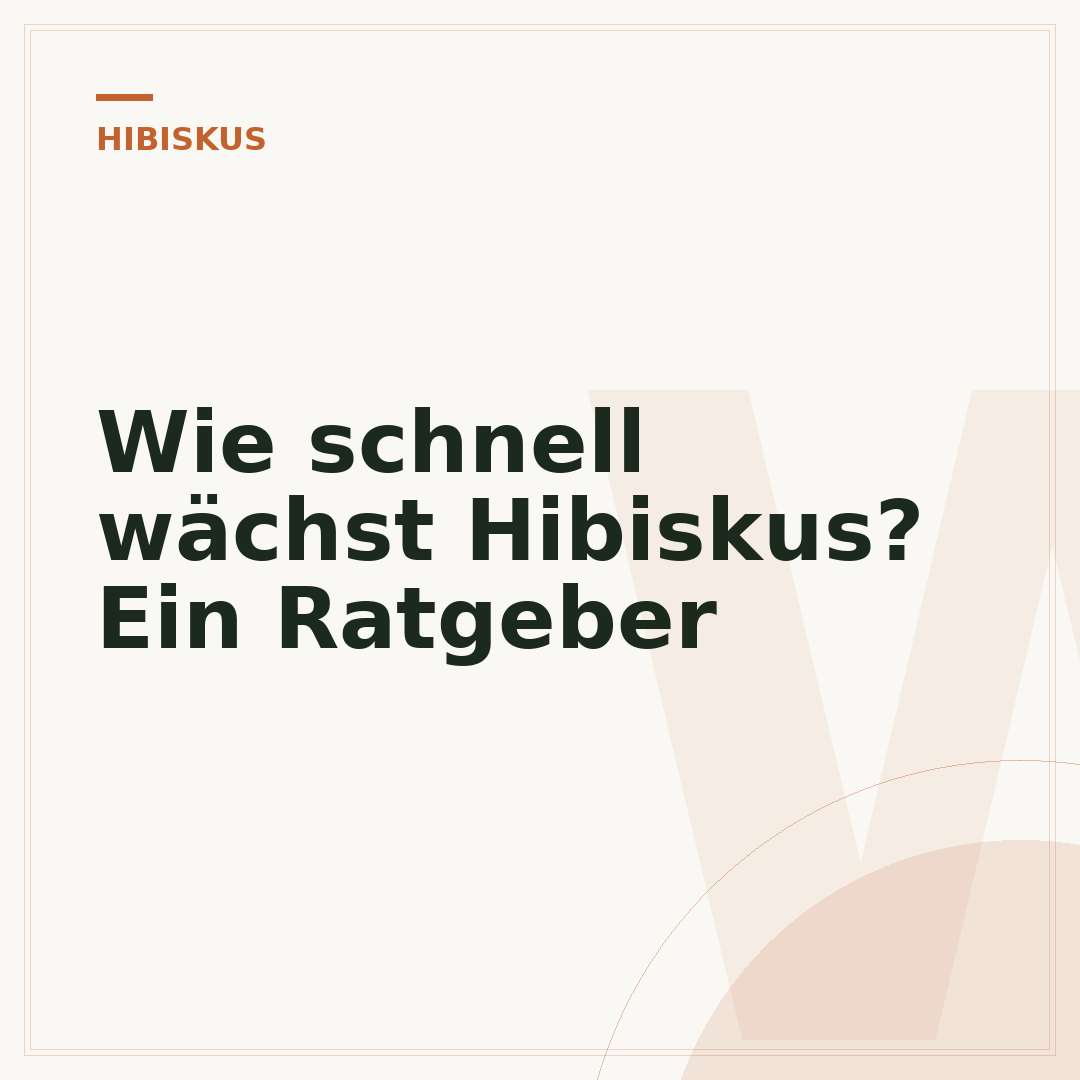 Wie schnell wächst Hibiskus? Ein Ratgeber