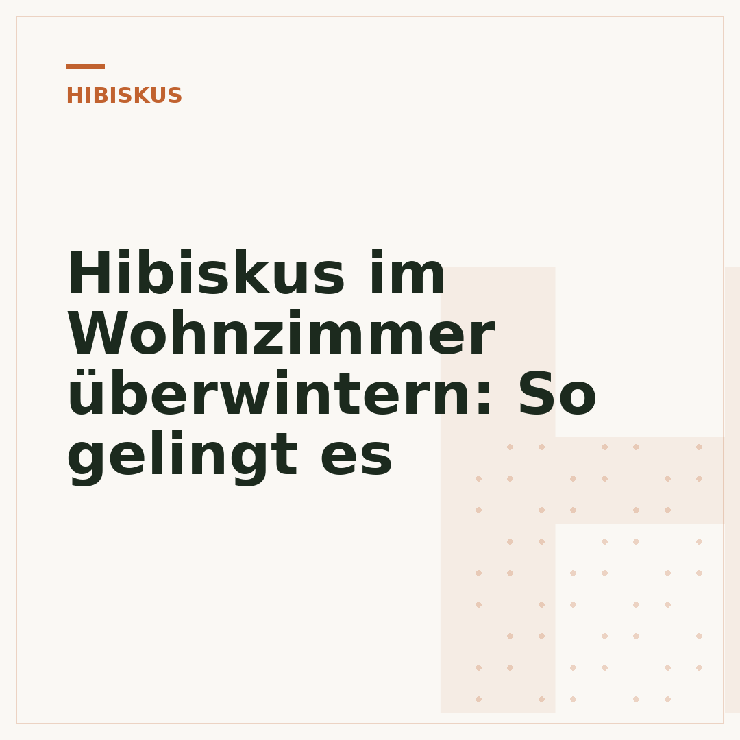 Hibiskus im Wohnzimmer überwintern: So gelingt es