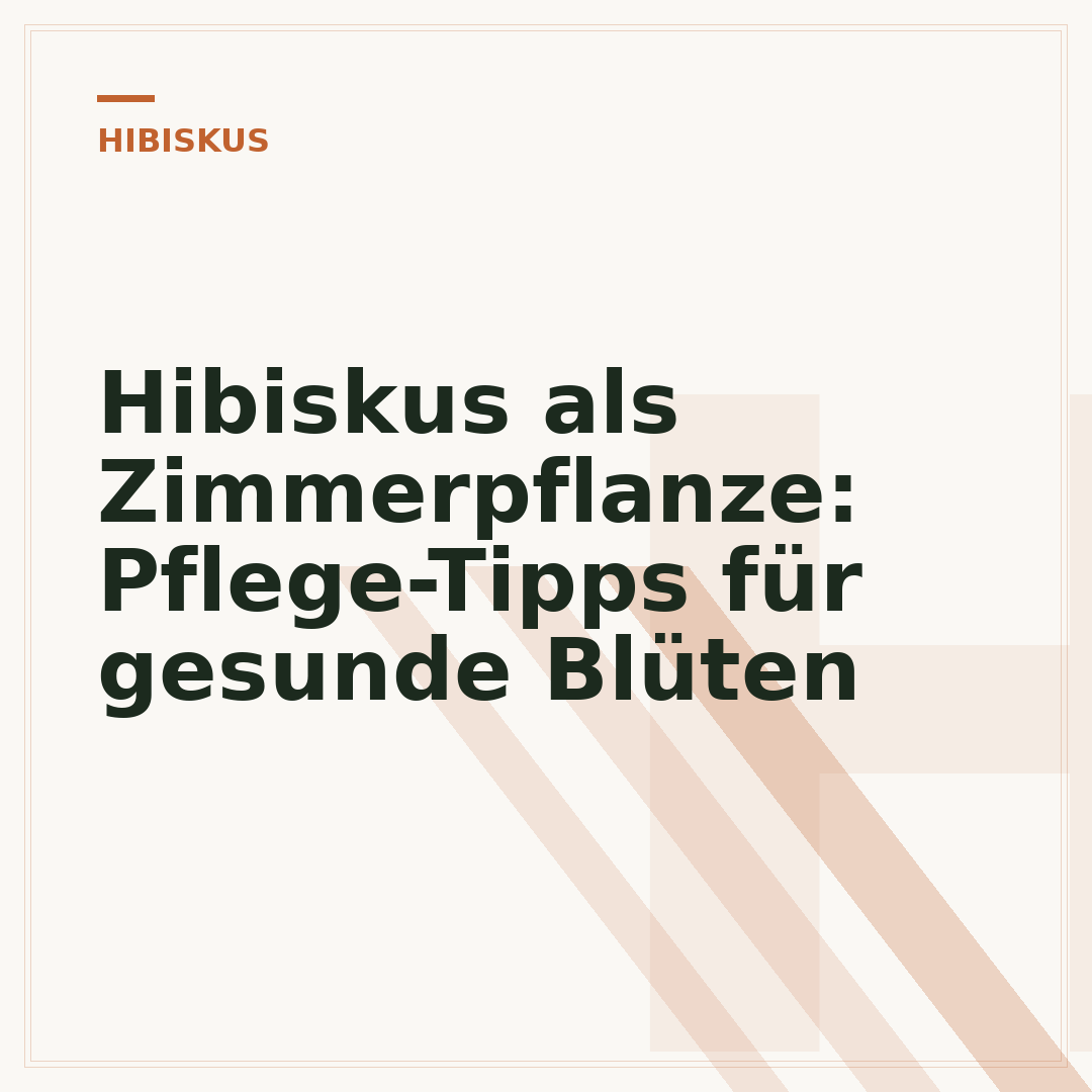 Hibiskus als Zimmerpflanze: Pflege-Tipps für gesunde Blüten