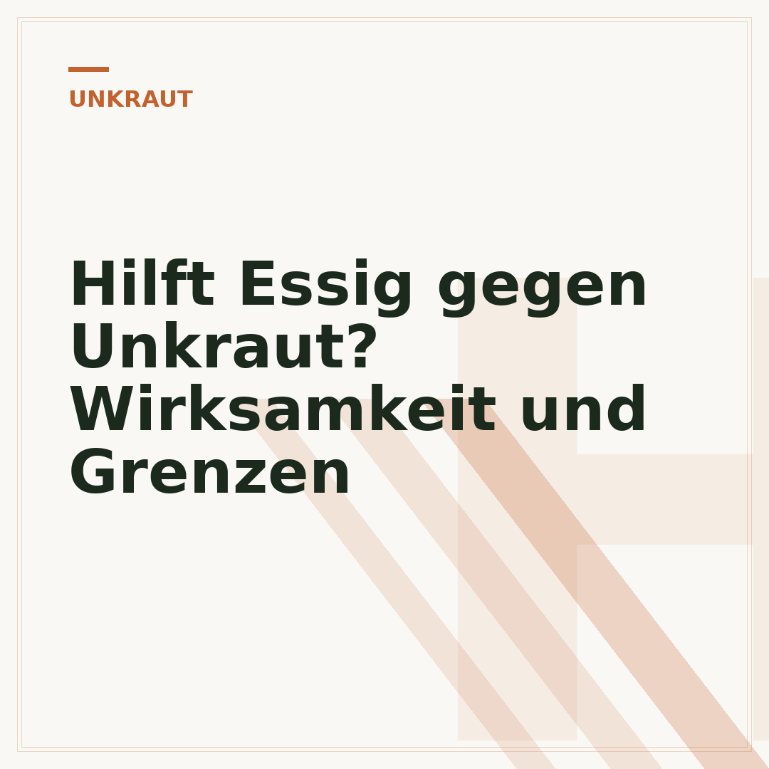 Hilft Essig gegen Unkraut? Wirksamkeit und Grenzen